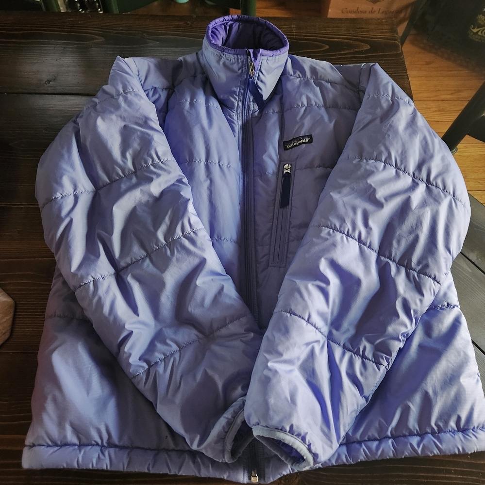 Patagonia Jacket (Womens Size Large)